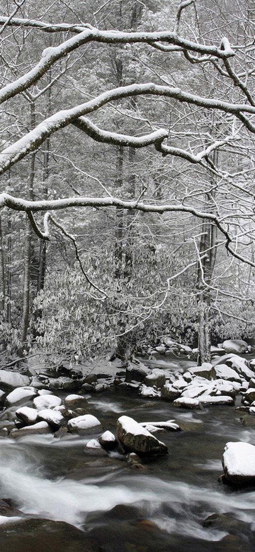 PeelitStickit, Beautiful Nature Wall Murals, ID-3306, vinyl