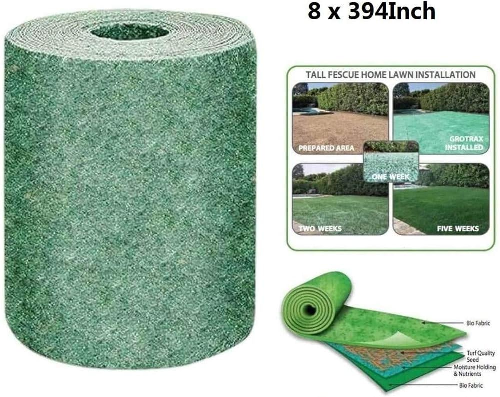 aglio da piantare in giardino