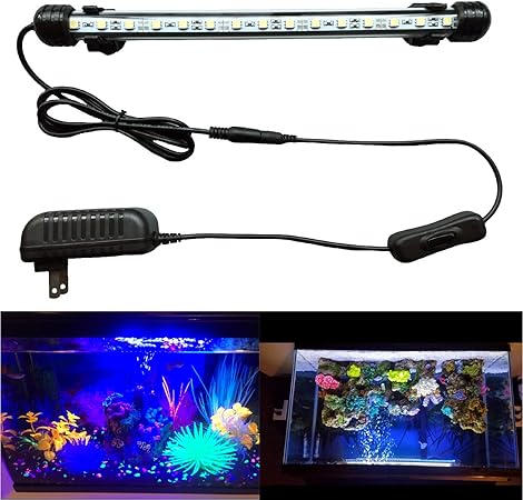 sunwow luz led para acuario sumergible bajo el agua con luces led de cristal