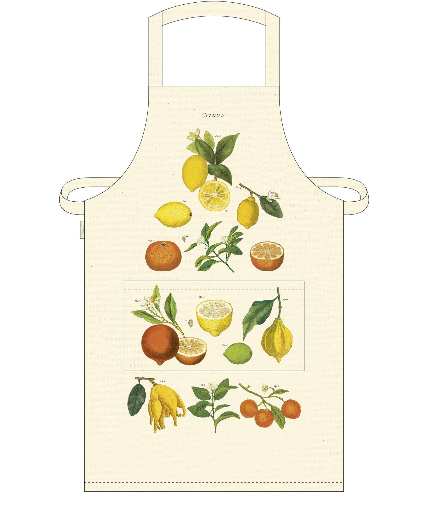 Cavallini Tea Towel, Cotton, Natural, 28.5" x 35.5"