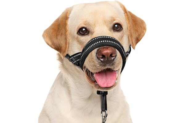 BARKLESS Soft Dog Head Collar, Padded No Pull Head Halter, Training Nose Leash with Safety Link for Medium Large Dogs, Adjust