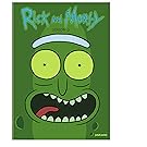 Rick and Morty: Season 3 (DVD)