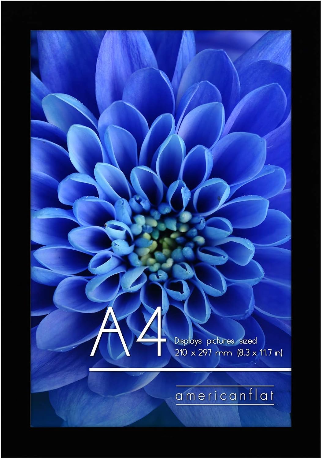 Photo Albums, Frames & Accessories - Americanflat A4 Picture Frame in Black - Composite Wood with Shatter Resistant Glass - Horizontal and Vertical Formats for Wall and Tabletop - 8.3 x 11.7 in