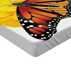 Ambesonne Butterfly Fitted Sheet, Monarch Breed