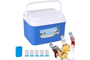 Hard Cooler Lunch Box, with 5 Ice Packs, Portable Small Ice Chest with Handles, Mini Fridge Camping Storage, Insulated Lunch 