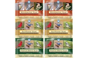 Blue Seal Nut Feast Suet Cakes for Wild Birds | No Mess Suet Feed with Variety of Nuts | Food for Woodpeckers, Cardinals, Siskins & Sparrows | Use with Suet Feeder | 11oz Seed Cake (6 Variety Pack)