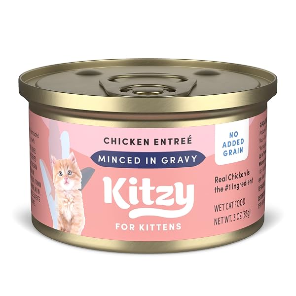 AMAZON BRAND – KITZY WET CAT FOOD, CHICKEN...
