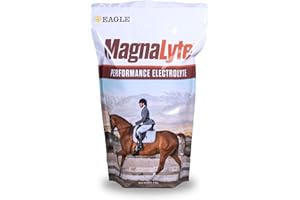 MAGNAGARD MagnaLyte Loose Salt and Electrolytes for Horses by Eagle Equine | Mineral sea Salt, Trace Minerals, Electrolytes | 4 lb Bag