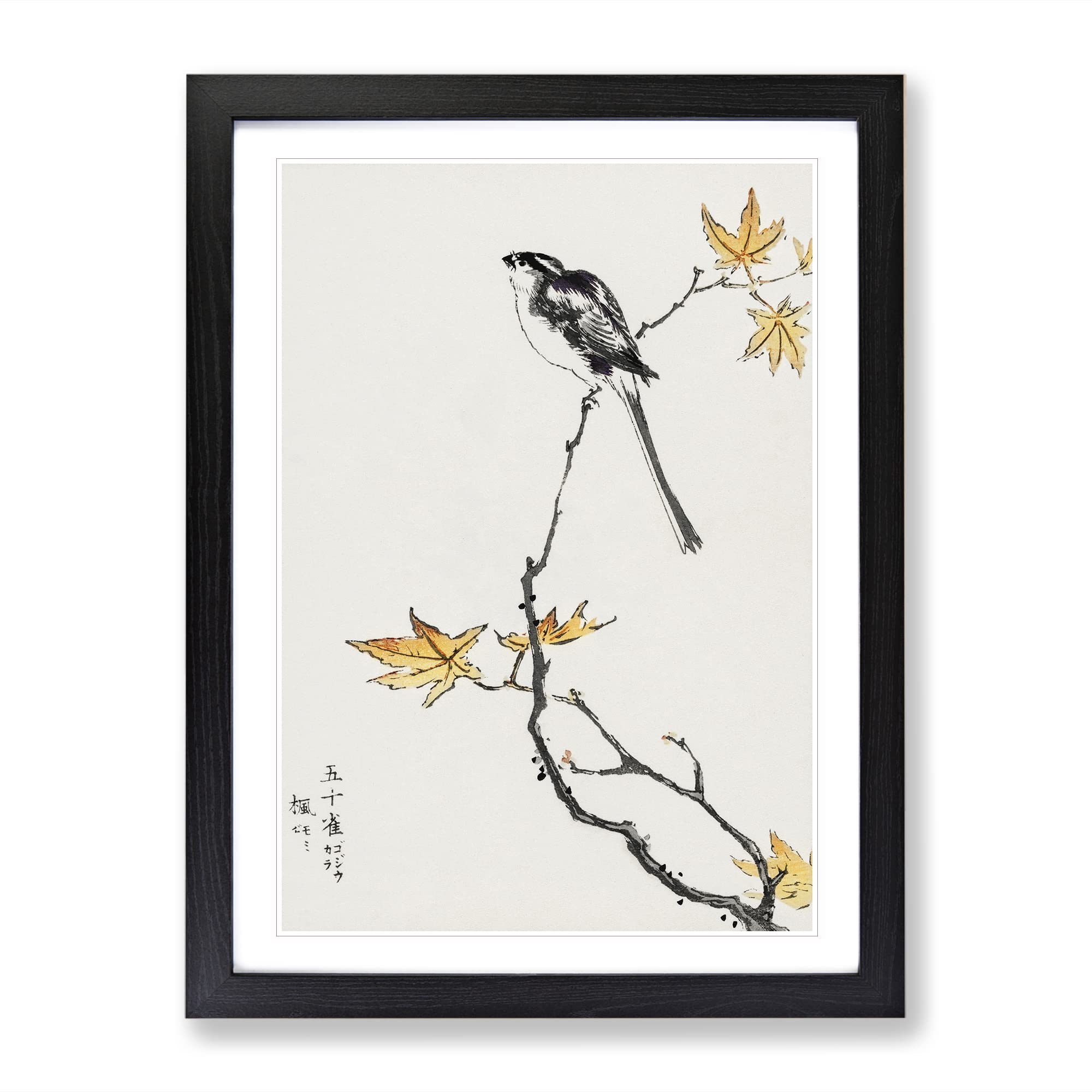 Long Tailed Tit & Maple Tree By Numata Kashu Asian Japanese Framed Wall Art Print, Ready to Hang Picture for Living Room Bedroom Home Office Décor, Black A4 (34 x 25 cm)