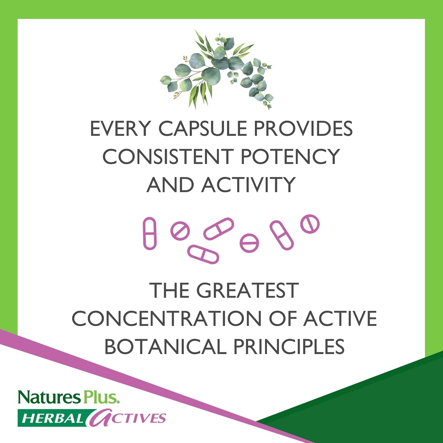 NaturesPlus Herbal Actives Red Yeast Rice - 600 mg, 120 Vegan Capsules - Maximum Potency Herbal Supplement, Cholesterol Support - Vegetarian, Gluten-Free - 120 Servings: Health & Personal Care