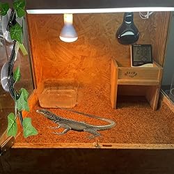 PINVNBY Reptile Corner Branch Resin Climb Tree