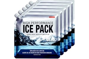 ABOXOBOG Reusable Ice Packs for Coolers Long Lasting Gel Freezer Packs for Cooler Bag Backpacks, Lunch Box, Cooler Bag, Keeps Food Cold Fresh (Set of 5)