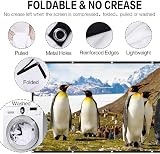 AYAOQIANG 120 Inch Portable Projector Screen 16:9 HD 4K for Indoor/Outdoor view 4