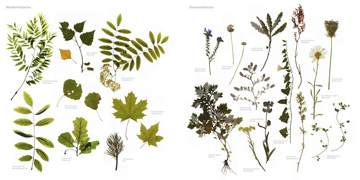 Your Glacial Expecation Gunther Vogt Image, Art, Diagram