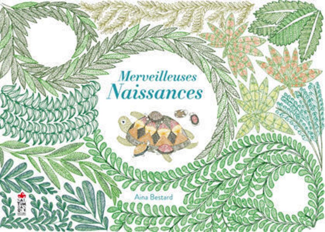 couverture de : Merveilleuses naissances