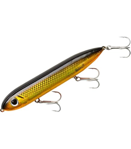 Amazon.com : Heddon Super Spook Topwater Fishing Lure for