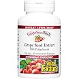 Natural Factors, GrapeSeedRich Grape Seed Extract, Antioxidant Support for Healthy Inflammatory Response, 90 Capsules