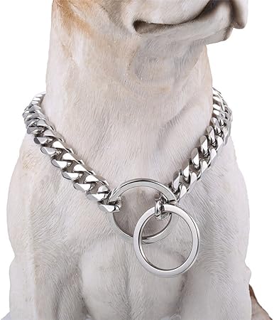 chain link dog collar