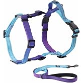 Roses&amp;Poetry Dog Harness and Leash Set for Mediumn Dogs, No Pull Dog Harness Adjustable Reflective, Dog Vest Harnesses Comfort Padded Handle, Pet Harness for Training Outdoor Walking（Gsky-M
