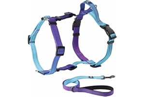 Roses&Poetry Small Dog Harness and Leash Set, No Pull Dog Harness Adjustable Reflective, Dog Halter Harnesses Comfort Padded Handle, Pet Harness for Training Outdoor Walking（Gsky-S