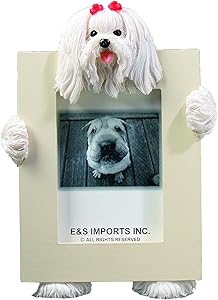 Maltese Picture Frame Holds Your Favorite 2.5 by 3.5 Inch Photo, Hand Painted Realistic Looking Maltese Stands 6 Inches Tall Holding Beautifully Crafted Frame, Unique and Special Maltese Gifts for Maltese Owners