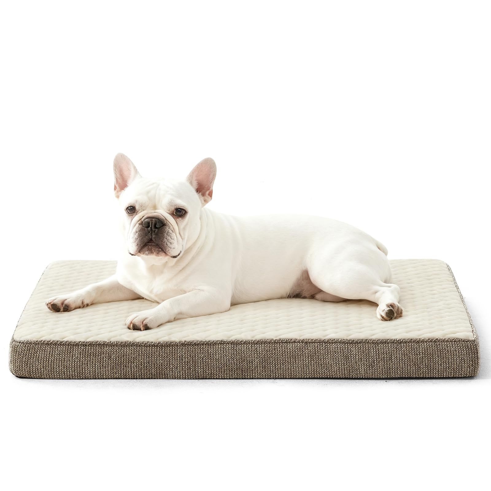 JOEJOY Orthopedic Dog Bed for Small Dogs, Washable Dog Crate Bed Small Sized with Removable Cover, Egg Memory Foam Pet Beds, Beige, 23"x17" Image