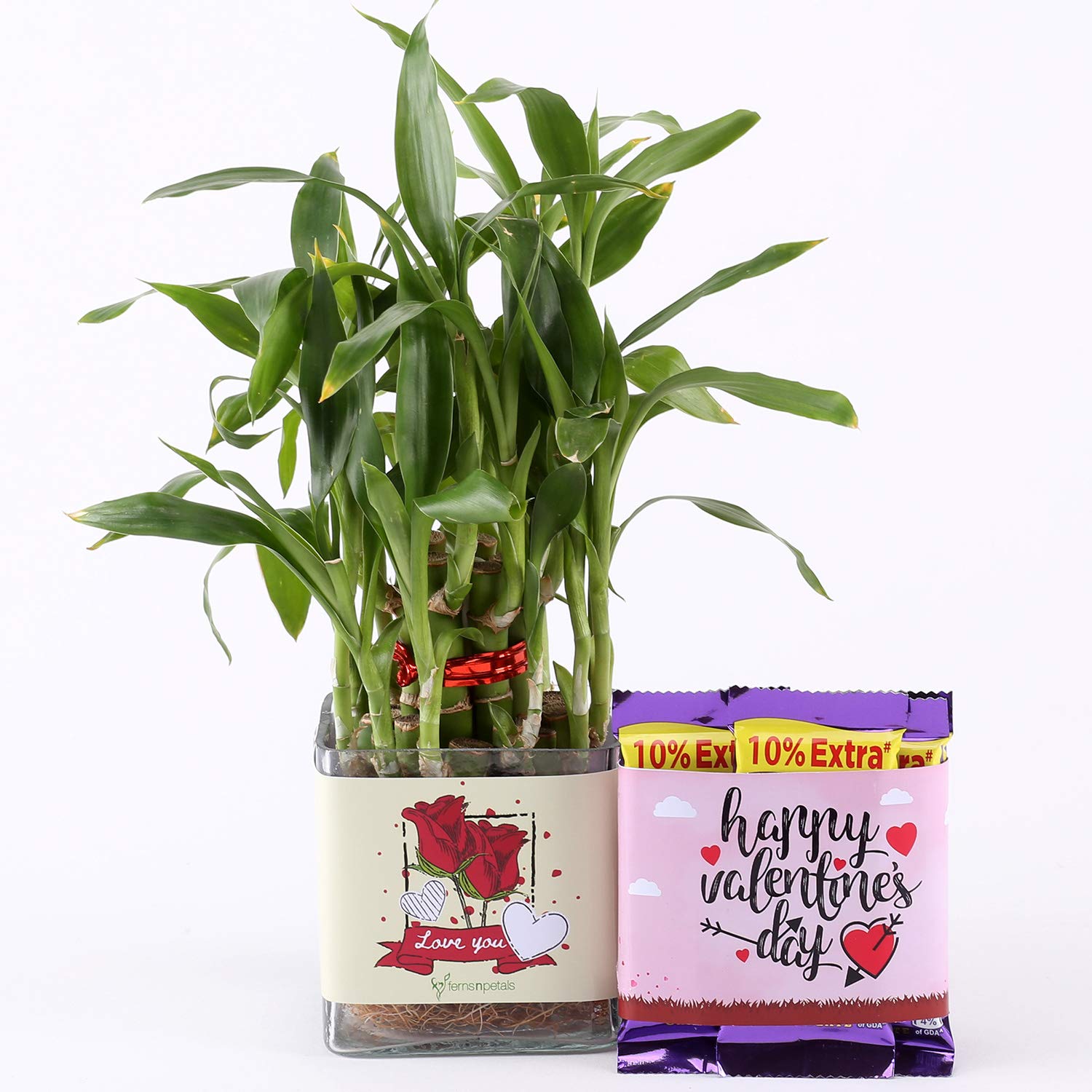 Ferns N Petals Two Layer Bamboo In Glass Vase With 3 Cadbury Dairy