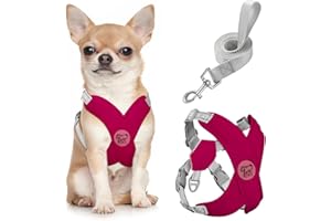 Pawaboo Small Dog Harness and Leash Set, Puppy Harness X-Frame No Pull No Choke, Dog Vest Harness Adjustable for Small Medium