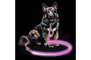 PetIsay LED Dog Leash - Rechargeable, Waterproof & Reflective, 6FT Tangle-Free for Night Walking(Pink)