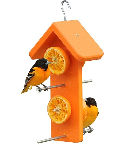 Amazon.com: Kettle Moraine Recycled Double Oriole Orange Fruit