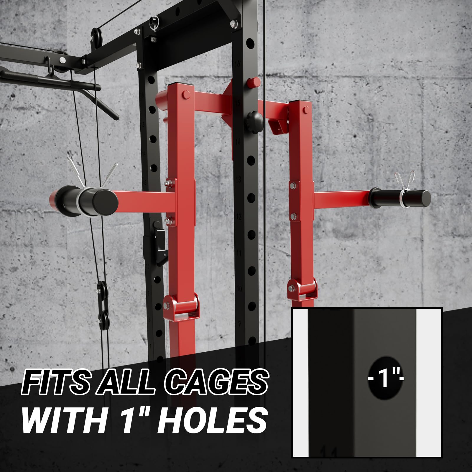 Mua ER KANG Power Rack Lateral Raise Attachment, Standing Lateral Raise ...