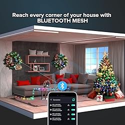 BTF-LIGHTING RGB IC WS2812B USB Twinkle Smart Fairy