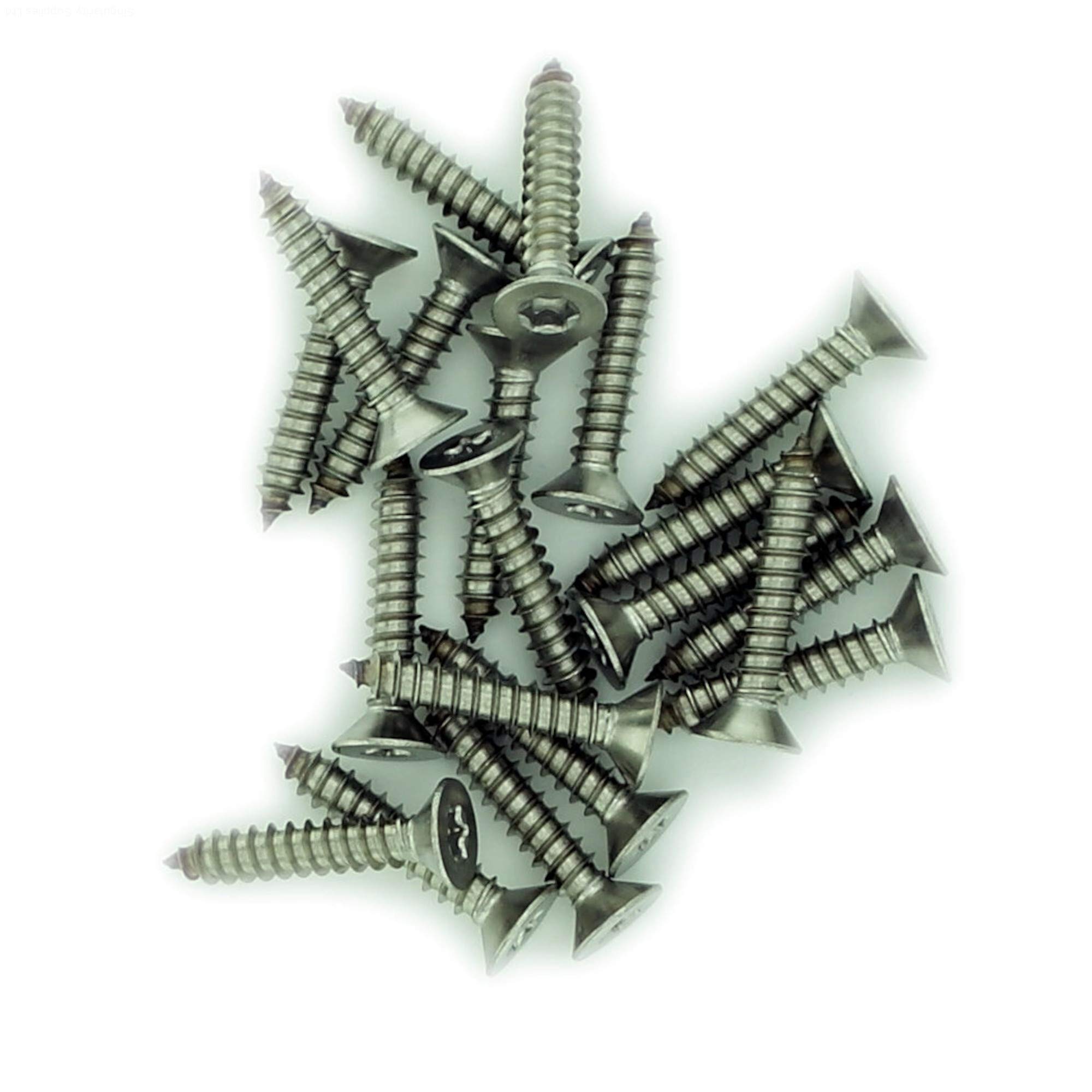 No.4 x 0.625 (2.9mm x 16mm) TX Countersunk Self-Tapping Screw - Stainless Steel (A2) (Pack of 20) โ image 1