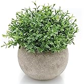 Velener Mini Sage Green Potted Boxwood Topiary Artificial Plants for Home Decor Indoor, Farmhouse House Plant Office Small Desk Shelf Apartment Coffee Bar Bathroom Decor Guest Room, Small Fake Plant
