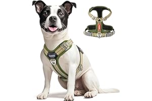 Tacwild No Pull Dog Harness - Adjustable Reflective Dog Vest with Metal Snap, Soft Breathable Mesh No Choke Puppy Harness, Easy to Put on & Take Off (Green-M)