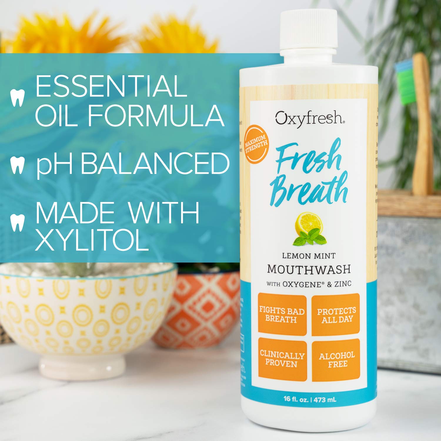 Oxyfresh Fresh Breath Lemon Mint Mouthwash | Award-Winning, Dentist-Recommended Bad Breath Mouthwash - Alcohol & Fluoride Free w/Aloe & Natural Essential Oils (1-16 oz Bottle) : Beauty