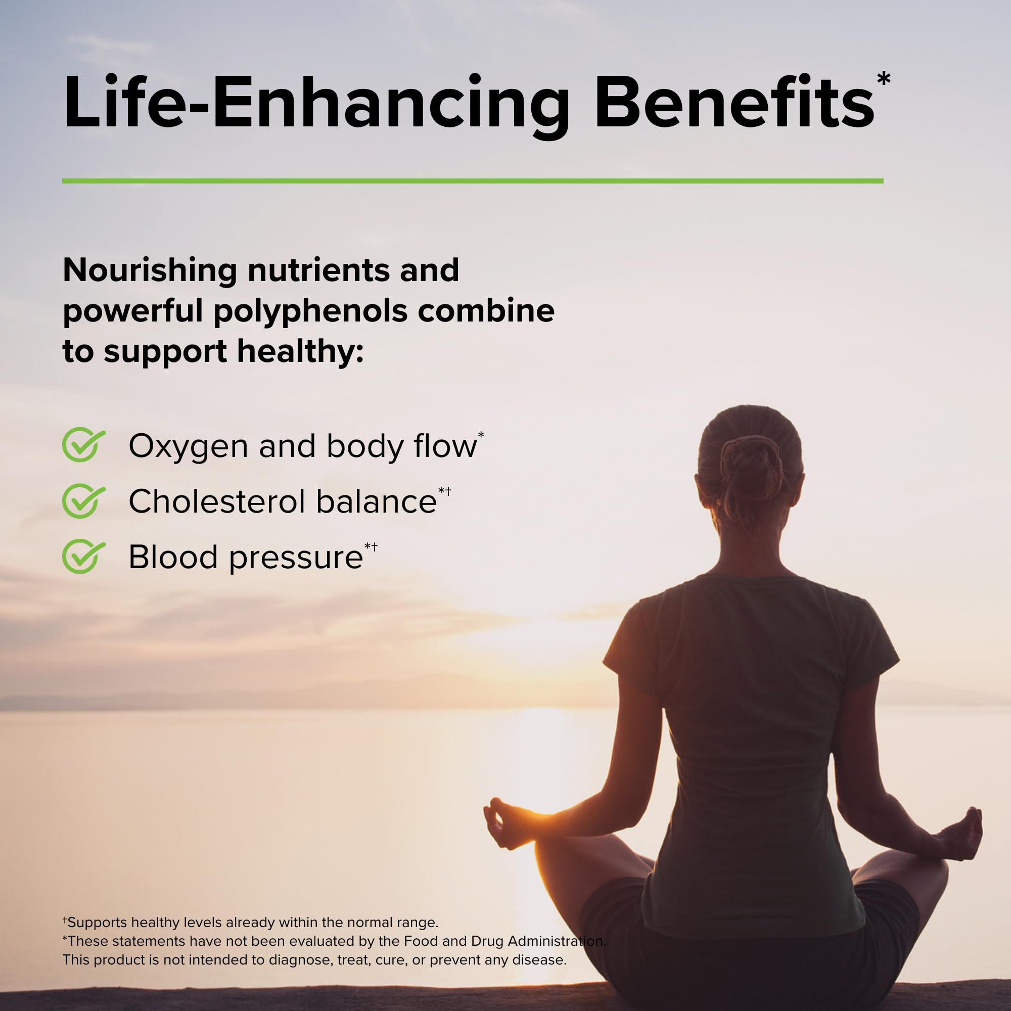 Terry Naturally Clinical OPC Heart - Heart Health Supplement with Magnesium, Vitamin B6, Grape Seed Extract - Dietary Supplement for Artery Health & Circulation - 60 Capsules