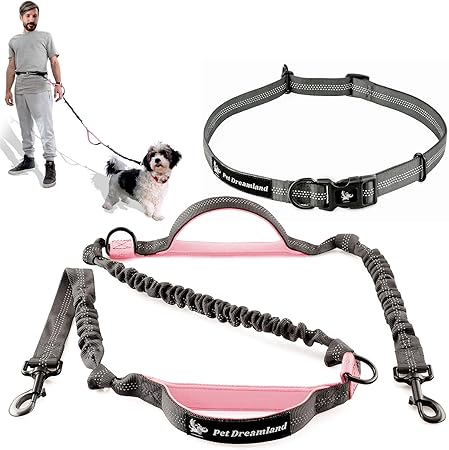 dog collars and harnesses for small dogs