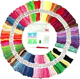 DSL Daily Supply Embroidery Threads 120 Skeins Pack 8m 6-Strand Rainbow view 1