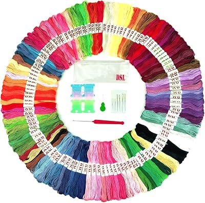 DSL Daily Supply Embroidery Threads 120 Skeins Pack 8m 6-Strand Rainbow