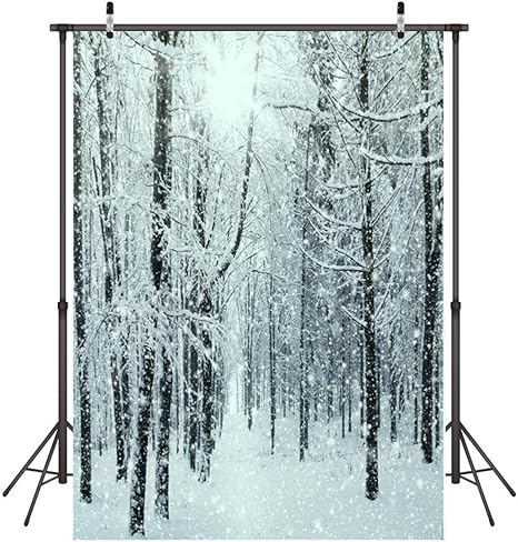 Photo Fond Paysage Enneige Fond De Photographie Pliable Mariage Anniversaire Pliable Toile De Fond Pour Studio Photo 1 5x2 1cm Amazon Fr Photo Camescopes