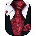 Barry.Wang Men Ties Paisley Woven Silk Necktie Set with Pocket Suqare Cufflinks Formal