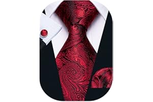 Barry.Wang Men Ties Paisley Woven Silk Necktie Set with Pocket Suqare Cufflinks Formal