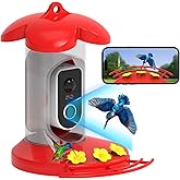 Hummingbird Feeder with Camera for Outdoor - 2K QHD Video, Instant Notifications & AI Bird Species, Ant Moat, Bee Proof, Motion Detection, 2.4G WiFi, Signal Booster, Gift for Bird Lovers (Red)