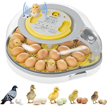 Amazon Best Sellers: Best Poultry Egg Incubators