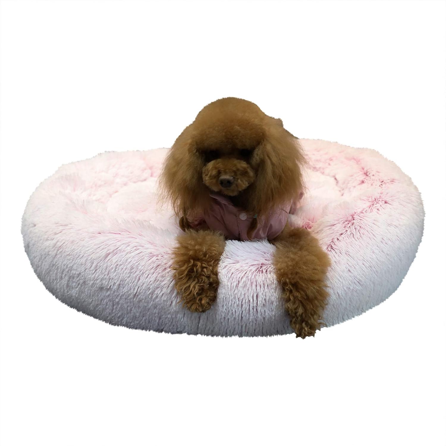 monkey dog bed