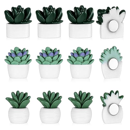 12 Pcs Cute Succulent Fridge Magnet, 3D Potted Plant Magnet Stickers, Mini Succulent Magnets for Locker Refrigerator Whiteboard, Creative Decorative Magnets for Kitchen Office DIY Home Decors