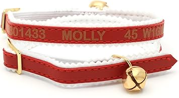 personalised kitten collar