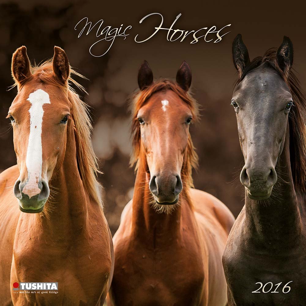 Magic Horses 2020 What a Wonderful World: Magie der Pferde