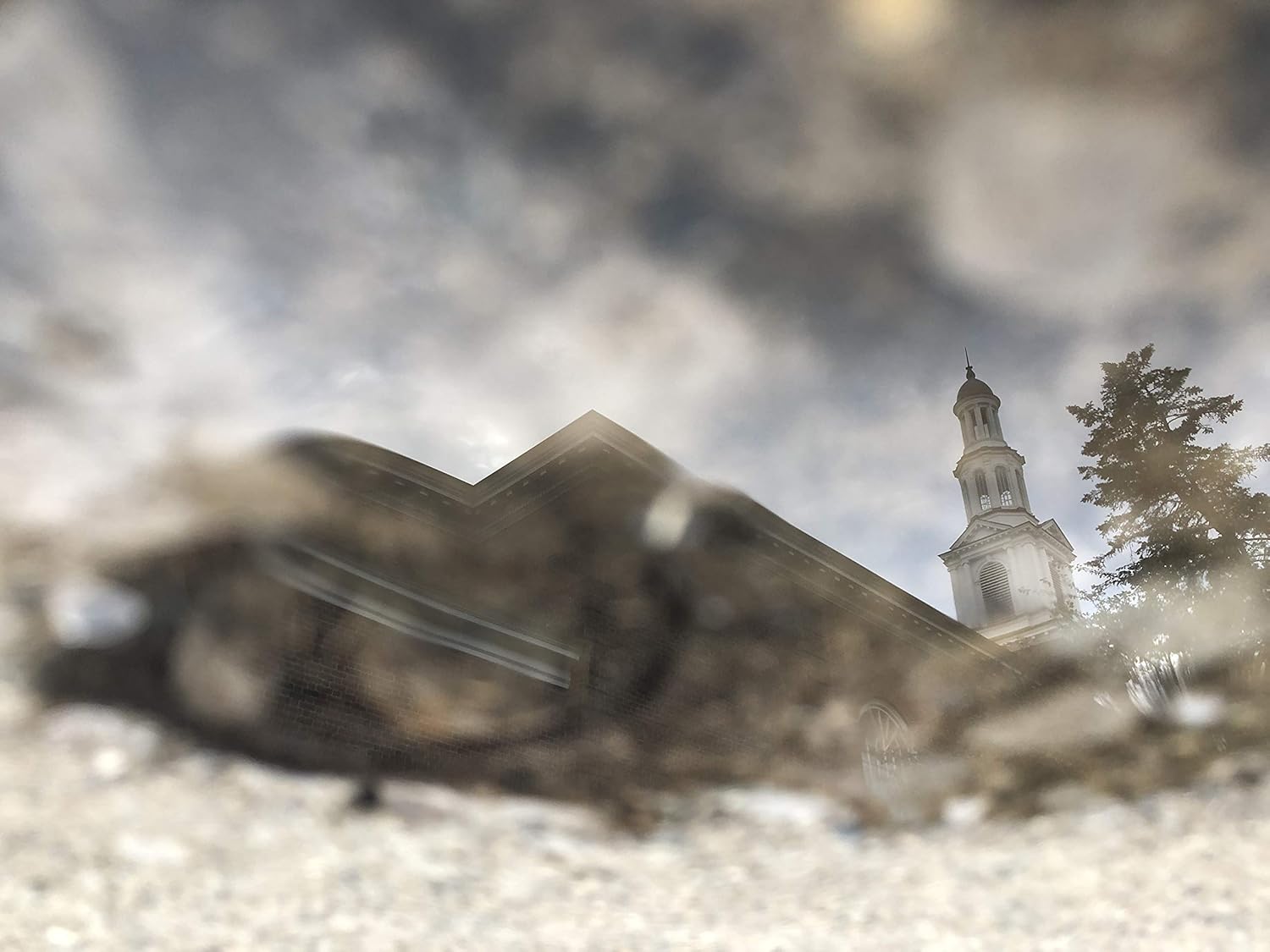 Amazon Com University Of Kentucky 11x14 Photography Print Uk